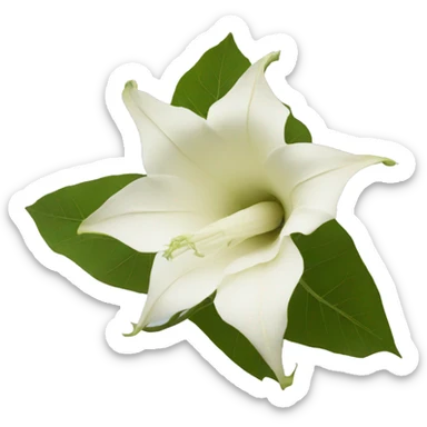 datura sticker
