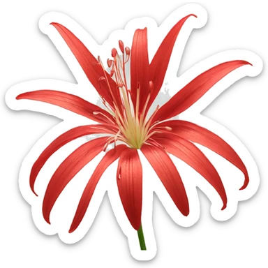 Red Spider Lily Flower sticker