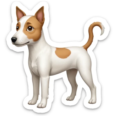 a full body white parson russell looking dog the size of a kelpie with light brown ears and a light brown patch on one eye and a large snout sticker
