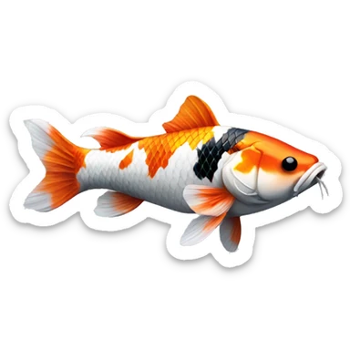 Tri colored realistic koi fish  sticker