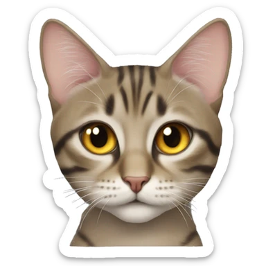 tatlı 3 tane üst üste kedi sticker