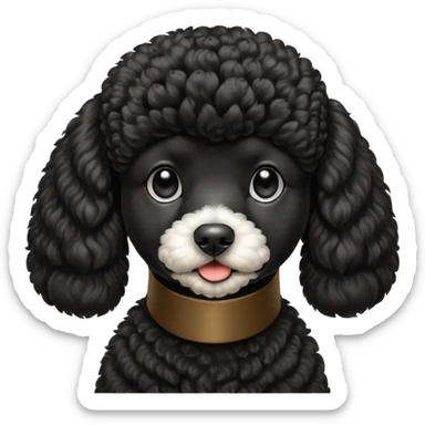 A high-resolution digital illustration of a black poodle in a clean, semi-realistic style. The poodle is shown from the chest up, facing sideways head tilted of the head to the left sticker
