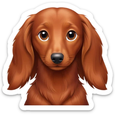 A long haired red Brown dachshund sticker