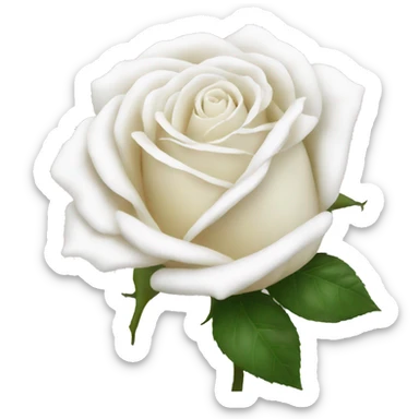 Roses white sticker