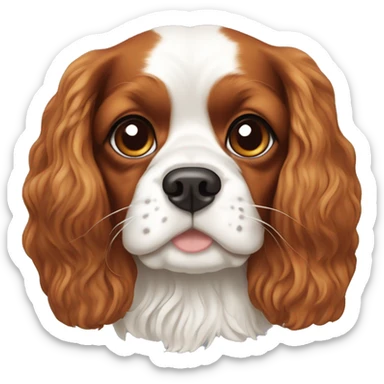 Cavalier, King Charles spaniel ￼ sticker