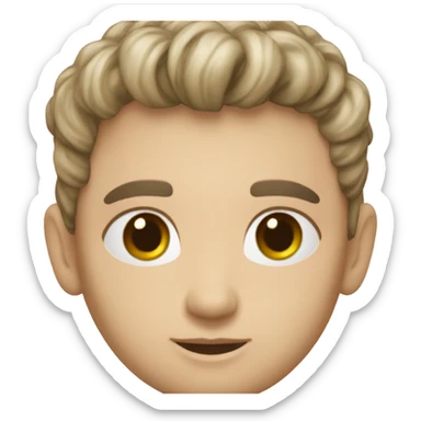 pola puta spahić sticker