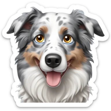 Blue eyed grey merle border collie dog sticker