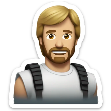 Chuck Norris sticker