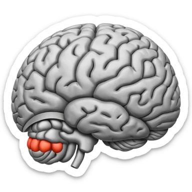 brain, graphic up sticker