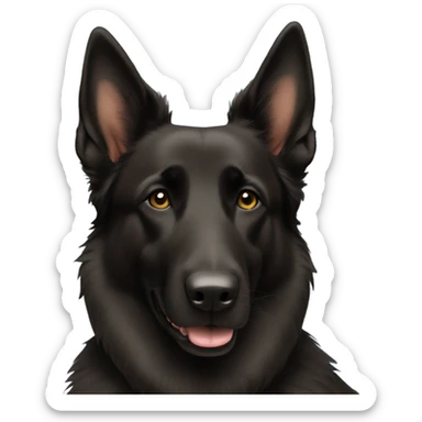 Black Belgian shepherd  sticker