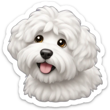 Coton de Tuléar sticker