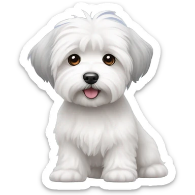 A white bichon havanese with grey ears sticker