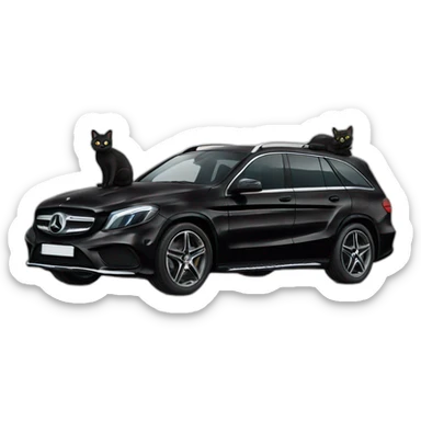 black cat and a mercedes sticker