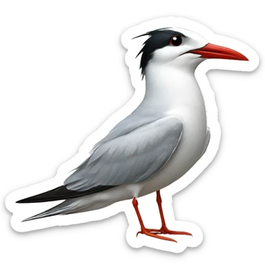 Common tern  sticker