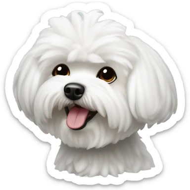 Bichon maltes tierno sticker