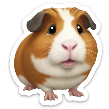 guinea pig sticker