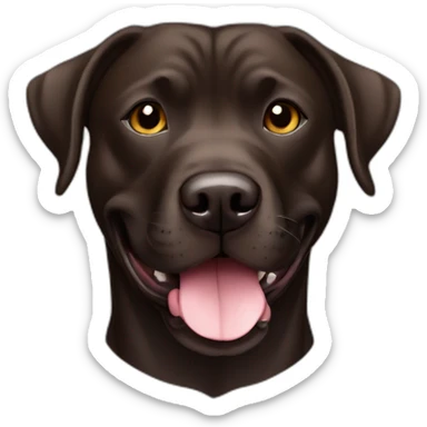 Mezcla de labrador pitbull café oscuro sticker