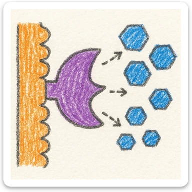 Ultra-detailed illustration of enzyme digestion: amylase breaking starch into sugars near a cell membrane. Clean white background, no text. Scientific but simple sticker