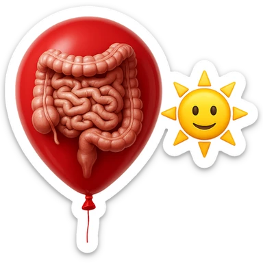 intestino umano anatomico chiuso in un palloncino rosso che simboleggia gonfiore, accanto un simbolo di sole stile emoji iphone che simboleggia "gonfiori di mattina", iperrealistico 4k sticker