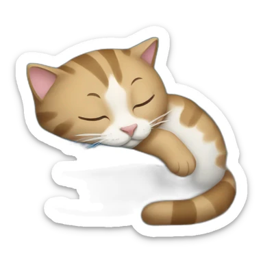 sleeping cat with united nations flag sticker