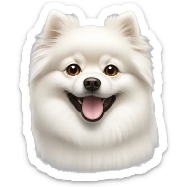 White Pomeranian spitz  sticker