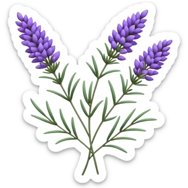 Lavender  sticker