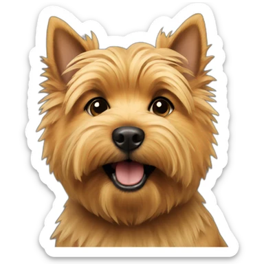 Norwich terrier sticker