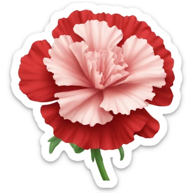 red Carnation flower sticker