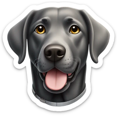 Black labrador with grey collar sticker