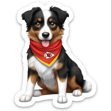 Dog (mini Australian shepherd, tri colored with lots of black) with Chiefs bandana sticker
