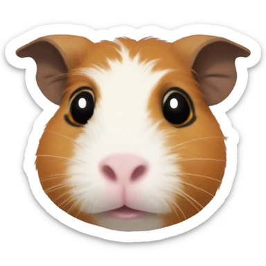 Guinea pig with eyebrows  sticker