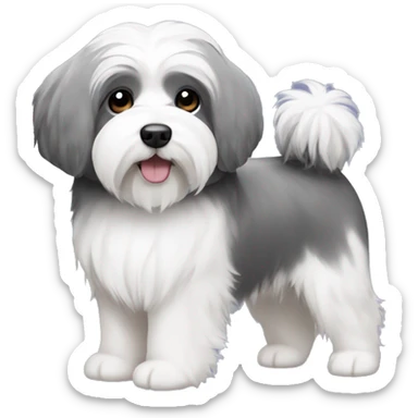 cute dark grey and white coton de tulear sticker