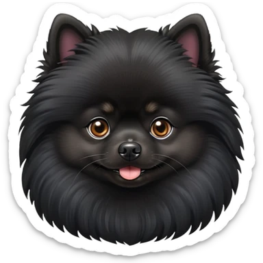 Black Pomeranian dog portrait sticker