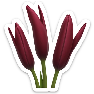 Dark red tulip sticker