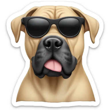 Cane corso with sunglasses sticker
