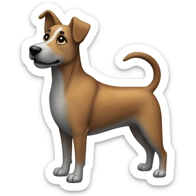 Australian cattle dog sticker