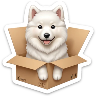  A very cute young Samoye  with one's head tilted to one side poked its paws out of the cardboard big box and placed them on top of it sticker