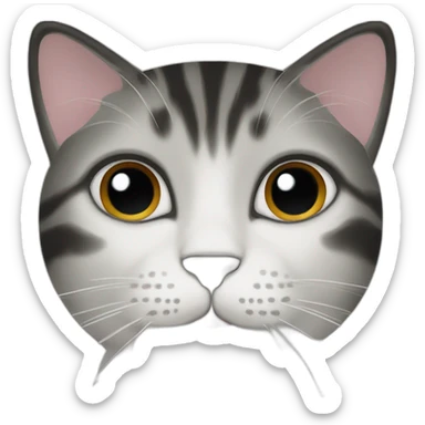 cat-white-face-with-big-black-forehead sticker