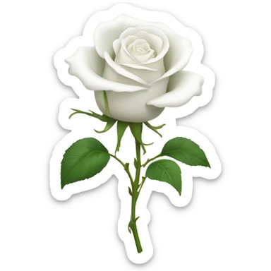 White rose sticker