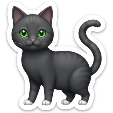 full body gorgeous solid dark grey cat with green eyes, white paws and white whiskers playing sticker
