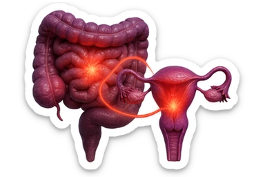 utero umano anatomico iperrealistico e intestino umano anatomico iperrealistico hanno in comune il dolore e l'infiammazione, rendi bene il collegamento tra i due organi doloranti, falla iperrealistica, non disegnata, fai colori che si adattano a questo viola #971ef1 sticker