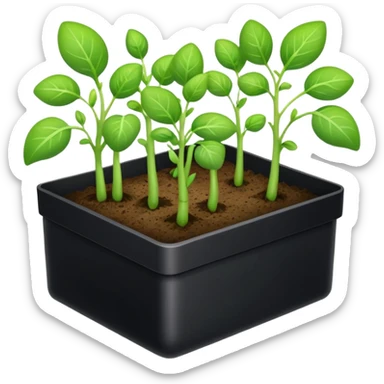 aromatic sprouts thin black box sticker