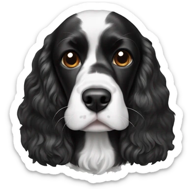 black and white cocker spaniel with nose spots sticker