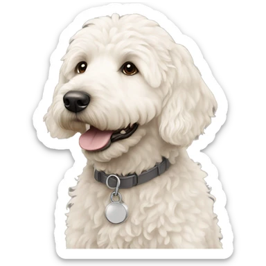 White goldendoodle sticker