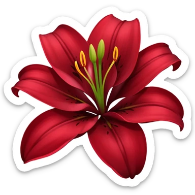 A lily flower in a dark cherry red colour sticker