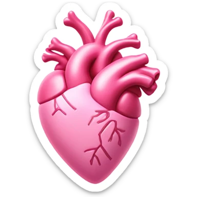 Pink anatomical heart pastel pink with pink bow tie on top sticker