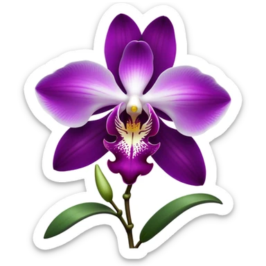 Cinematic Realistic Orchid Emoji, Exotic and elegant, with intricate, velvety petals in deep purple and white, forming a delicate and symmetrical blossom. The slender green stem holds the flower high, while surrounding leaves add lush contrast. Soft glowing outline, capturing the essence of rare beauty and sophistication in a captivating orchid. sticker