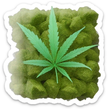 transparent ziplock bag with sativa strain inside sticker