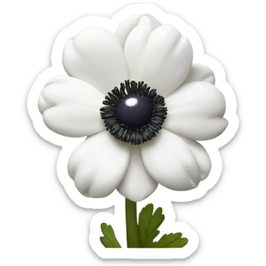 white anemone flower with dark center sticker