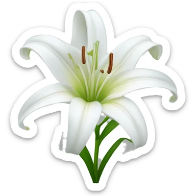 white lily  sticker